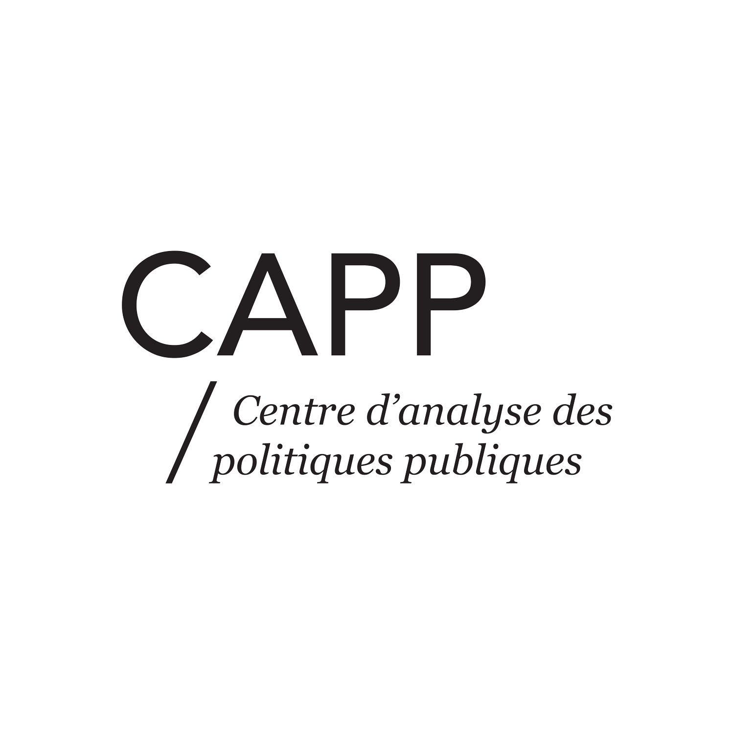 Centre d’analyse des politiques publiques (CAPP)
